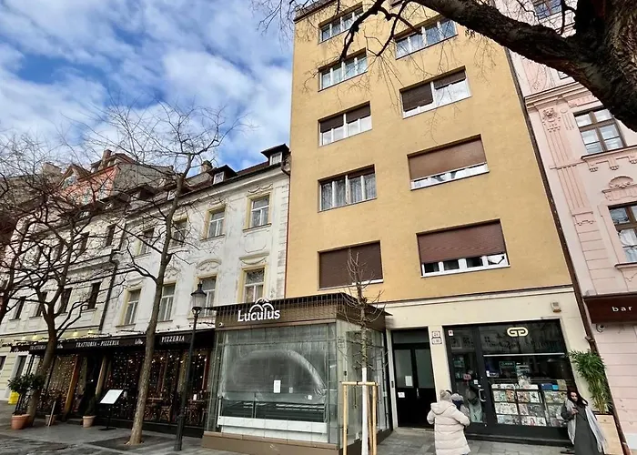 The Heart Of The Appartement *